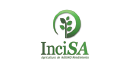 incisa