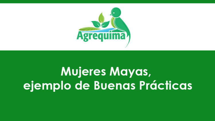 Mujeres Mayas, ejemplo de Buenas Prácticas
