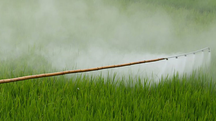¿Agricultura sin plaguicidas?