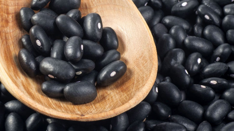 ¿Dónde se cultiva el frijol negro que comemos?