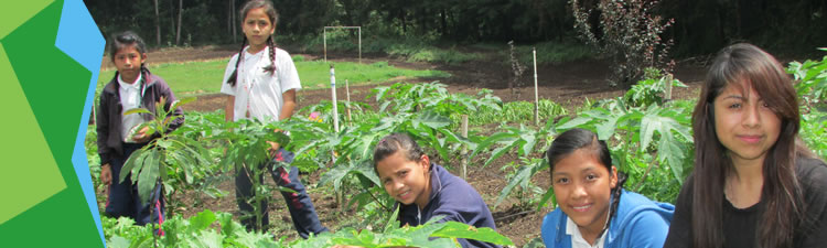 Agradecimiento 3